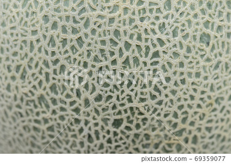 Green neon melon 69359077