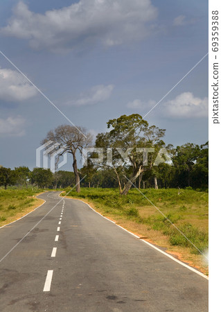 Country road in Sri Lankan national park in the sunshine day 69359388