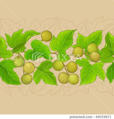 kukui vector pattern 69359871