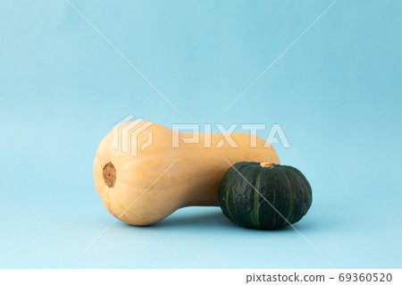 Butternut squash pumpkin Butternut squash pumpkin 69360520