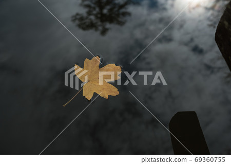 A lonely leaf in the lake water, autumn forest A lonely leaf in the lake water, autumn forest 69360755