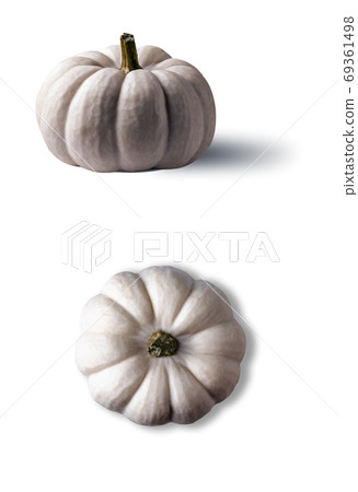 White pumpkin side and above views on white White pumpkin side and above views on white 69361498