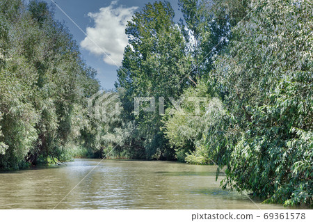 Danube biosphere reserve Belgorodske river summer landscape in Vilkove, Ukraine. 69361578