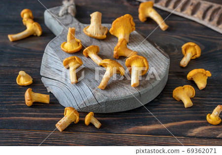 Fresh chanterelles 69362071