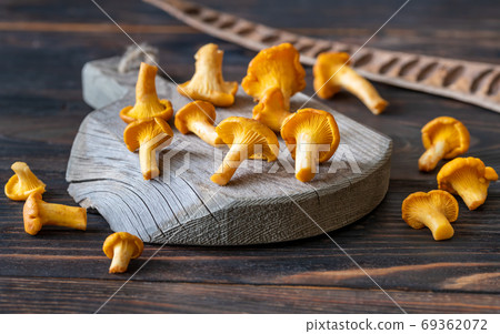 Fresh chanterelles 69362072