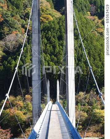 靜岡縣吊橋 69363419