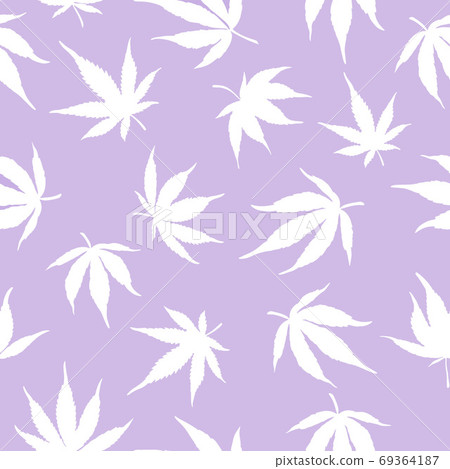 pattern of cannabis leaves on a violet background pattern of cannabis leaves on a violet background 69364187
