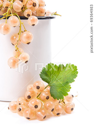 White cup with white currant berry in it and small bunch of whit 69364983