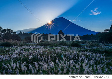 （靜岡縣）朝霧高原的力量和富士山山坡上的鑽石 69365257
