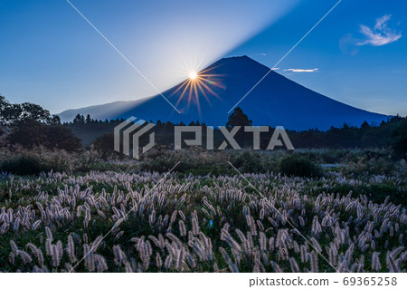(Shizuoka Prefecture) The power of Asagiri Plateau and diamonds on the hillside of Mt. Fuji 69365258