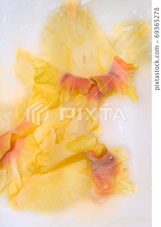 Frozen   flower of   gladiolus 69365278