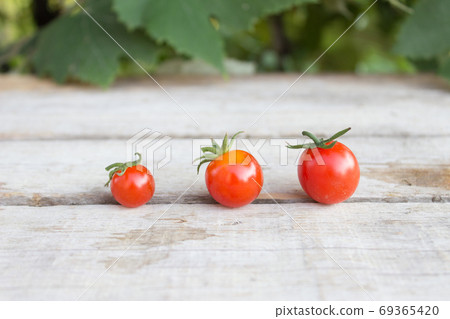 Cherry tomato, small tomatoes on wooden background 69365420