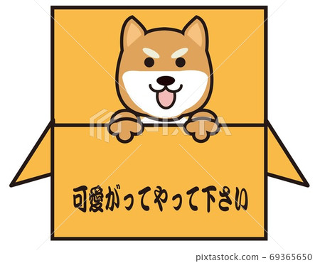 Stray dog Stray dog 69365650