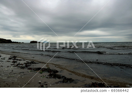 Stormy Sky Over a Seaweed Strewn Beach at Dusk Stormy Sky Over a Seaweed Strewn Beach at Dusk 69366442