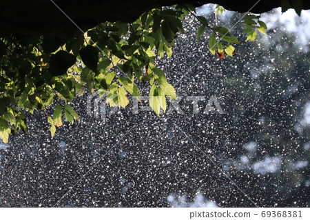 Dragon Head Waterfall Otaki 69368381