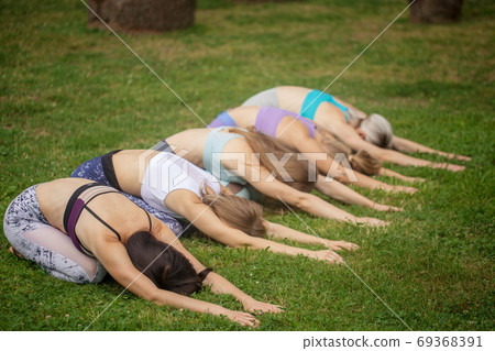 Group of fit women doing yoga pose meditation at outdoor green park garden 69368391