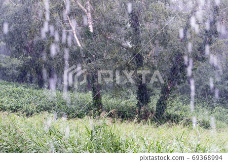 Heavy rain in the mountains Heavy rain in the mountains 69368994