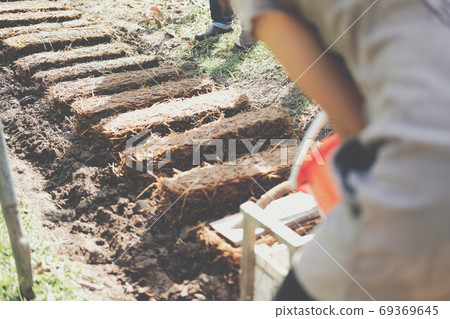 farmer growing straw mushroom on rice straw farmer growing straw mushroom on rice straw 69369645