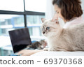 Business woman working from home with cat  69370368