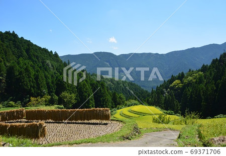 100 selections of rice terraces in Tokushima Prefecture Autumn rice terraces in Kashihara 69371706
