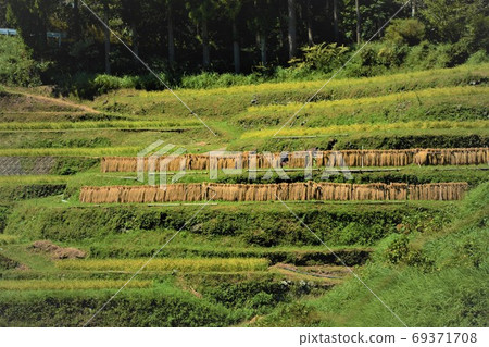 100 selections of rice terraces in Tokushima Prefecture, Kashihara rice terraces 69371708
