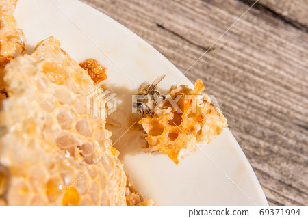 Close up view of the working bee on the honeycomb with sweet hon 69371994