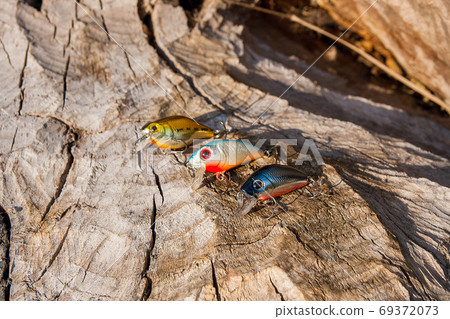 Close up view of various kind of baits on the natural background Close up view of various kind of baits on the natural background 69372073