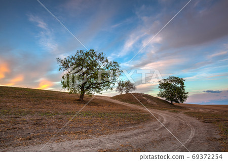 On the dirt road between empty field after 69372254