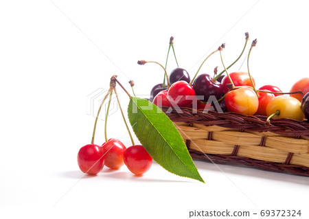 Yellow and red sweet cherry in basket with green leaf isolate on Yellow and red sweet cherry in basket with green leaf isolate on 69372324