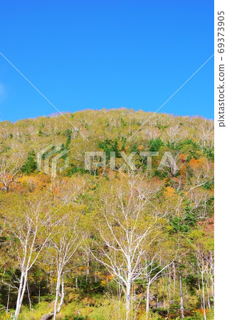 北海道Shikaoi鎮Shirakaba Pass西Nupukaushinupuri 北海道Shikaoi鎮Shirakaba Pass西Nupukaushinupuri 69373905