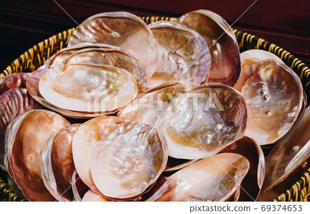 Mother of pearl shell scallop. Mollusk seashell texture. Mother of pearl shell scallop. Mollusk seashell texture. 69374653