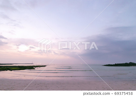 紫色的美麗海濱風光 69375458