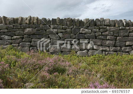 6 - Wider angle texture scene of peak district plants and stone wall 69376557