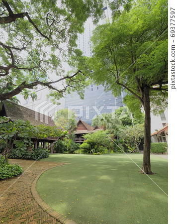 Bangkok, Thailand Urban oasis green space / garden surrounded by trees Bangkok, Thailand Urban oasis green space / garden surrounded by trees 69377597