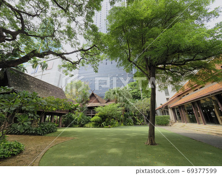 泰國曼谷城市綠洲綠地/綠樹環繞的花園 69377599