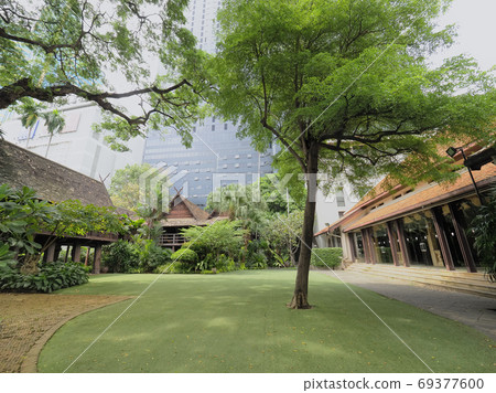 Bangkok, Thailand Urban oasis green space / garden surrounded by trees 69377600