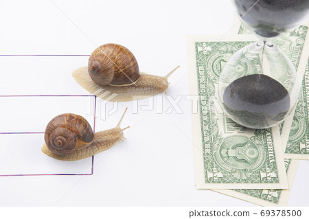 the snail is in a hurry to win in speed for the right to receive the snail is in a hurry to win in speed for the right to receive 69378500