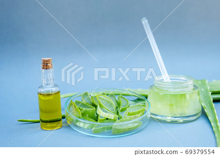 Aloe vera gel and aloe vera star cactus slide Isolated on gray background Aloe vera gel and aloe vera star cactus slide Isolated on gray background 69379554