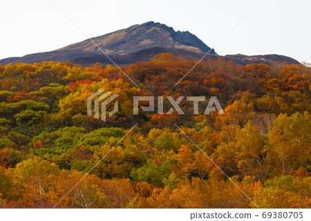 Autumn leaves Chokaiyama Autumn leaves Chokaiyama 69380705