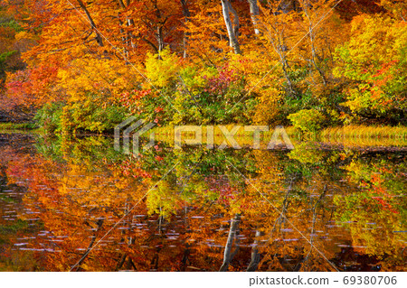 Autumn leaves and water mirror of Zenjinnuma at the foot of Mt. Chokai 69380706