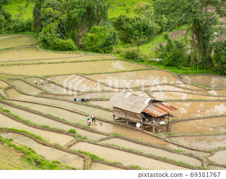 Planting season and indirect seeding 69381767