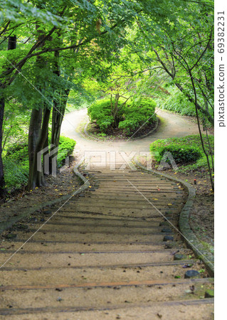 Sweet potato hill 69382231