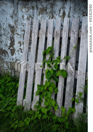 Fence and grass leaned against the wall 69382690