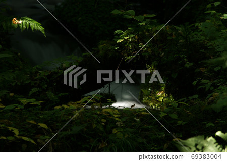 走四季秋天Tashima Kogen種植園 69383004