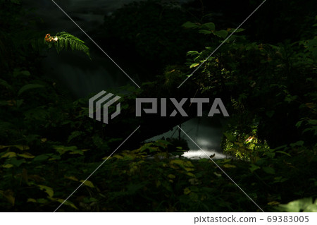 走四季秋天Tashima Kogen種植園 69383005