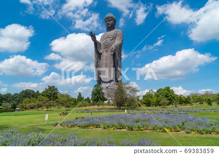 從Sadajuen看的大佛(牛久大佛) 從Sadajuen看的大佛(牛久大佛) 69383859