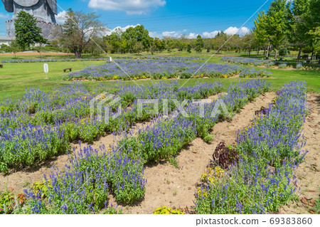 Sadajuen的Yagurakusa（牛久大佛） 69383860