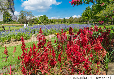 Sadajuen的Keito（Ushiku Daibutsu） 69383861