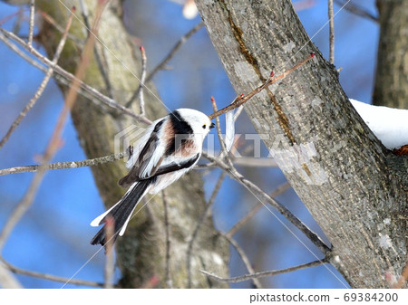 汁液和島永 69384200