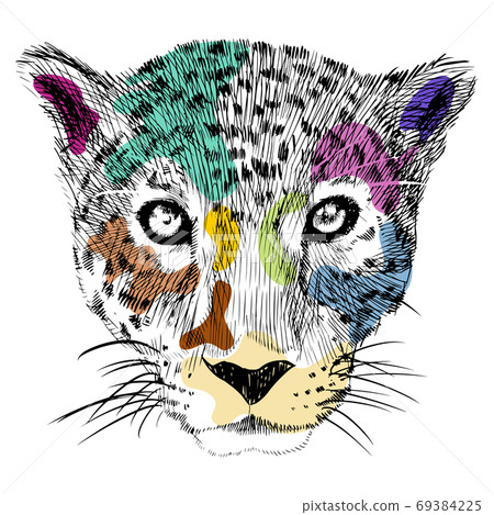 hand drawn of colorful cheetah heads 69384225